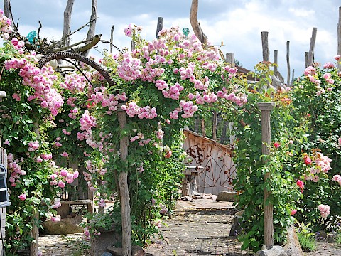Der Rosengarten ist vor allem im Mai und Juni eine Blütenpracht