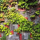 Naturmaterialien, Pflanzen und kunstvolle Details machen ArkaZien zu einer verwunschene Wunderwelt