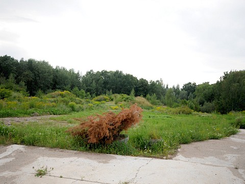 2010: Auf dem Gelände eines ehemaligen Betonwerkes soll ein Familienpark entstehen