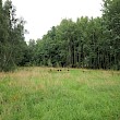 Wo 2010 noch eine Wiese und Wald stehen, soll es irgendwann...