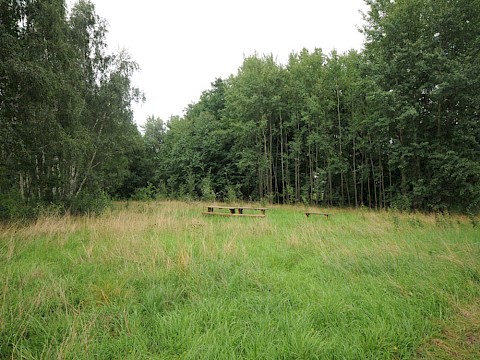 Wo 2010 noch eine Wiese und Wald stehen, soll es irgendwann...