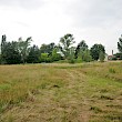 Vision in 2012: Die Wiese ein zukünftiger Piratenspielplatz?!