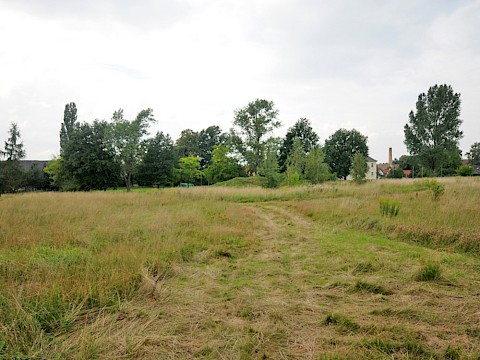 Vision in 2012: Die Wiese ein zukünftiger Piratenspielplatz?!